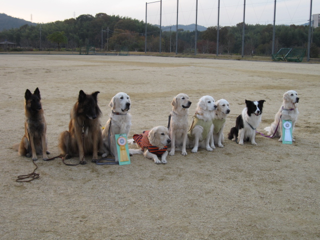 20111127_034.JPG