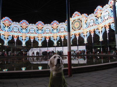 20111209_031.JPG