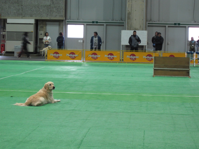 20111210_003.JPG
