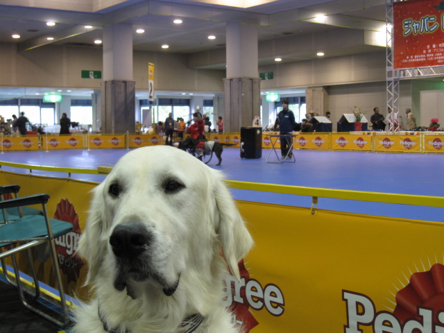20111210_018.JPG