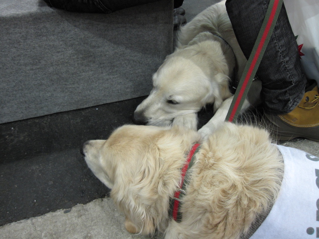 20111210_020.JPG