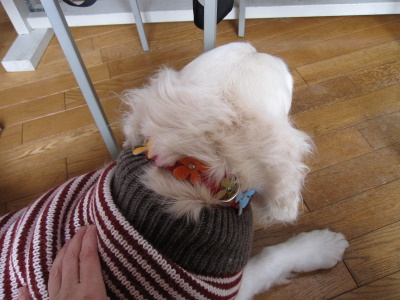 20111223_013.JPG