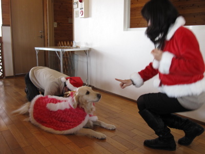 20111223_066.JPG