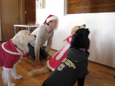 20111223_067.JPG