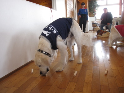 20111223_070.JPG
