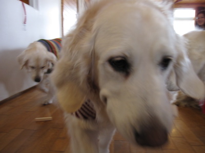 20111223_073.JPG