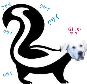 XJN񂯂.JPG