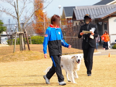 PB277872-1.jpg